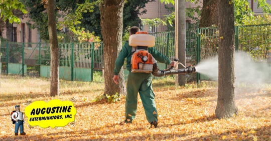 Worker sprays territory with insecticide for pests